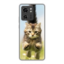 Чехлы с Котиками для Motorola Edge 40 Pro (VPrint) (Прыжок кота)