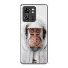 Чехлы с Обезьянами NFT для Motorola Edge 40 Pro (AlphaPrint) (обезьяна NFT в тату)