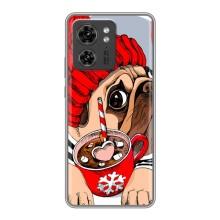 Чехлы с собаками для Motorola Edge 40 Pro (VPrint) (Собачка в шапке)