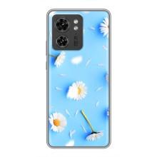 Чехол с Цветами для Motorola Edge 40 Pro (ромашки на голубом)