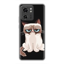Чехол с принтом для Motorola Edge 40 Pro (AlphaPrint) Модные коты (Грустный кот)