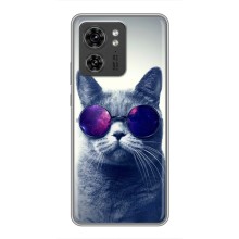 Чехол с принтом для Motorola Edge 40 Pro (AlphaPrint) Модные коты (Стильный кот)