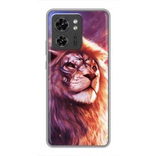 Чехол со Львом для Motorola Edge 40 Pro (VPrint) (Красочный Лев)