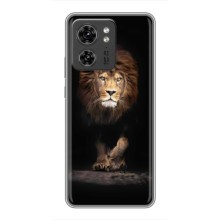 Чехол со Львом для Motorola Edge 40 Pro (VPrint) (Лев)