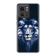 Чехол со Львом для Motorola Edge 40 Pro (VPrint) (Синий Лев)