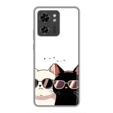 Чехол с рисунком кот на Motorola Edge 40 Pro (Коты в очках)