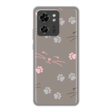 Чехол с рисунком кот на Motorola Edge 40 Pro (Лапы и усы)