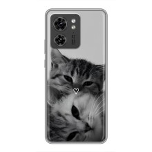 Чехол с рисунком кот на Motorola Edge 40 Pro (Пара котов)