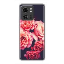 Чехлы с тематикой "ЦВЕТЫ" на Motorola Edge 40 Pro (Бутоны)