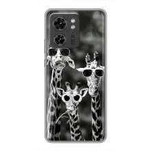 Силиконовый чехол с КАРТИНКАМИ лето для Motorola Edge 40 Pro (AlphaPrint) (Жирафы в очках)