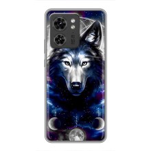 Защитные чехлы для Мото Ейдж 40 Про (AlphaPrint) (ХИТ продаж) ВОЛК (Волк)