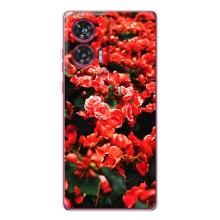 Чохли з квітами для Motorola Edge 50 Fusion (VPrint) (Квіти червоні)