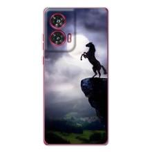 Чохли з зображенням різних тварин на Motorola Edge 50 Fusion (Кінь)