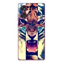 Чохли з зображенням різних тварин на Motorola Edge 50 Fusion (Яскравий Тигр)