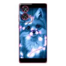 Чохли з картинкою Лисичка для Motorola Edge 50 Fusion (VPrint) (Яскрава лисичка)