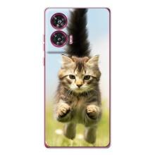 Чохли з Котиками для Motorola Edge 50 Fusion (VPrint) (Прижок кота)