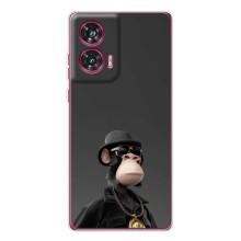 Чохли з Мавпами NFT для Motorola Edge 50 Fusion (AlphaPrint) (Мавпа NFT)