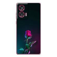 Чехлы с принтом Розочки для Motorola Edge 50 Fusion – Ночная роза