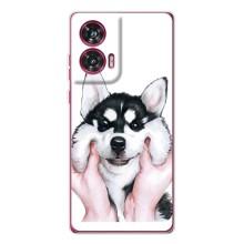 Чохли з собаками для Motorola Edge 50 Fusion (VPrint) (Радісний Хаскі)