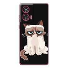 Чехол на тематику: Коты для Motorola Edge 50 Fusion – Взгляд кота