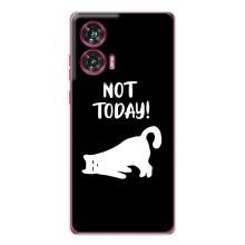 Бампер с изображением Котиков для  – Not Today