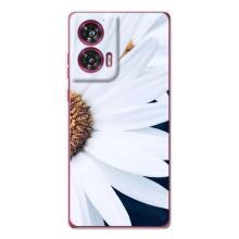 Чехол с ромашками на Motorola Edge 50 Fusion – Пол ромашки