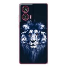 Чохол з картинкою ЛЕВ для Motorola Edge 50 Fusion (VPrint) (Синій Лев)