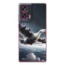 Чохол з мемом Тралалело тралала на Motorola Edge 50 Fusion (Бомбардіні гусіні)