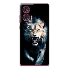 Чохол з картинкою 'Хижаки' для Motorola Edge 50 Fusion (Лев)