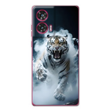 Чохол з картинкою 'Хижаки' для Motorola Edge 50 Fusion (Тигр)