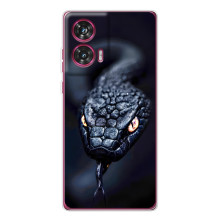 Чохол з картинкою 'Хижаки' для Motorola Edge 50 Fusion (Змія)