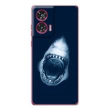 Силіконовий бампер з картинкою звірів для Motorola Edge 50 Fusion (Пащу Акули)