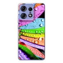 Чехлы (ART) Цветы на Motorola Edge 50 Pro (VPrint) (Семицветик)