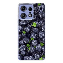 Чехлы с Фруктами для Motorola Edge 50 Pro (VPrint) (Ежевика)