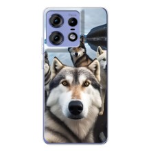 Чехол с Хаски для Motorola Edge 50 Pro - (AlphaPrint) (Селфи ХАски)
