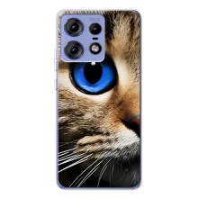 Чехлы с Котиками для Motorola Edge 50 Pro (VPrint) (Глаз кота)