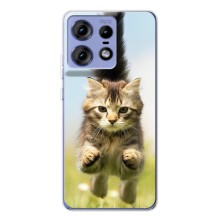Чехлы с Котиками для Motorola Edge 50 Pro (VPrint) (Прыжок кота)