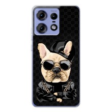 Чехлы с крутыми принтами для Motorola Edge 50 Pro - (PREMIUMPrint) (Стильная собака)