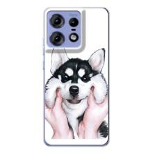 Чехлы с собаками для Motorola Edge 50 Pro (VPrint) (Довольный Хаски)