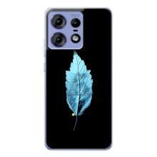 Чехол с картинками на черном фоне для Motorola Edge 50 Pro – Листочек