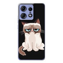 Чехол с принтом для Motorola Edge 50 Pro (AlphaPrint) Модные коты (Грустный кот)