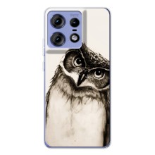 Чехол с птицами на Motorola Edge 50 Pro (VPrint) (Сова)