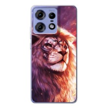 Чехол со Львом для Motorola Edge 50 Pro (VPrint) (Красочный Лев)