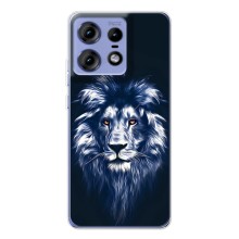 Чехол со Львом для Motorola Edge 50 Pro (VPrint) (Синий Лев)
