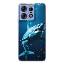 Чехол с картинкой «Хищники» для Motorola Edge 50 Pro (Акула)