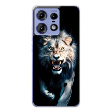 Чехол с картинкой «Хищники» для Motorola Edge 50 Pro (Лев)