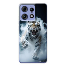 Чехол с картинкой «Хищники» для Motorola Edge 50 Pro (Тигр)