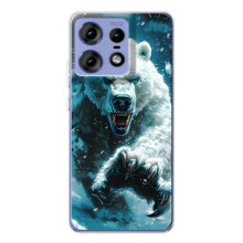 Чехол с картинкой «Хищники» для Motorola Edge 50 Pro (Медведь)