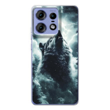 Чехол с картинкой «Хищники» для Motorola Edge 50 Pro