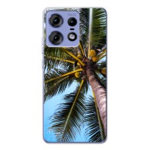 Силиконовый чехол с КАРТИНКАМИ лето для Motorola Edge 50 Pro (AlphaPrint) (Пальма)
